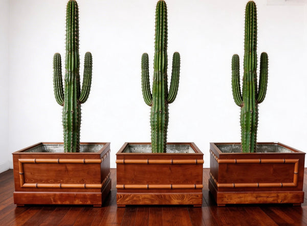 A Set of 1950s French wooden planters
