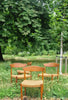 1960s Danish dining chairs by Arne Hovmand Olsen