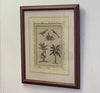 1800’s copper Etching picture